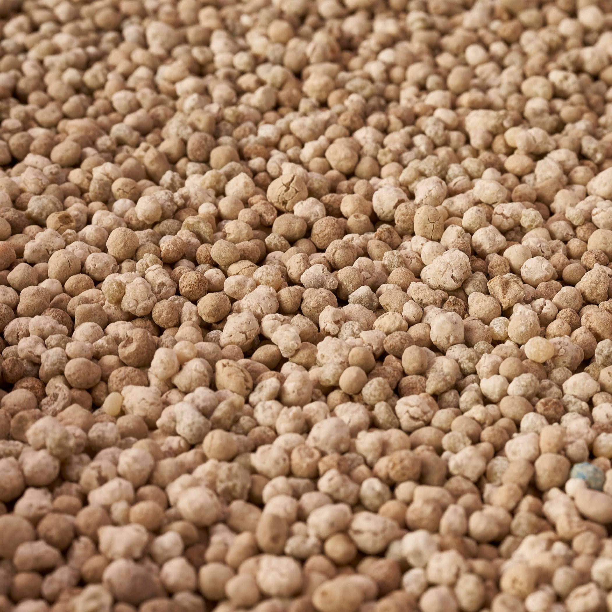 Royal Green Garden – Premium Rasendünger 14 KG